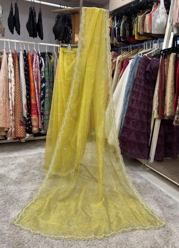 Organza Saree with Cutdana & Stone Work Embroidery - Image 2