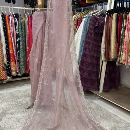 Organza Saree with Cutdana & Stone Work Embroidery