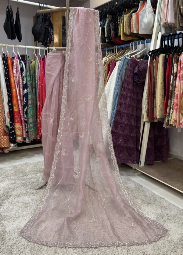 Organza Saree with Cutdana & Stone Work Embroidery