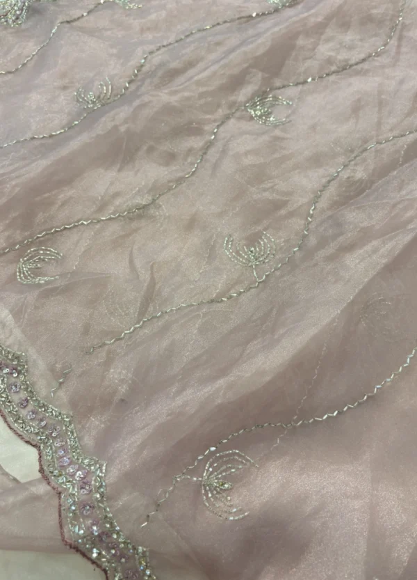 Organza Saree with Cutdana & Stone Work Embroidery - Image 4