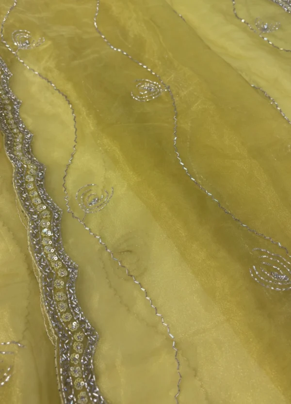 Organza Saree with Cutdana & Stone Work Embroidery - Image 5